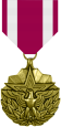 medal of Freedom 4.png.jpg